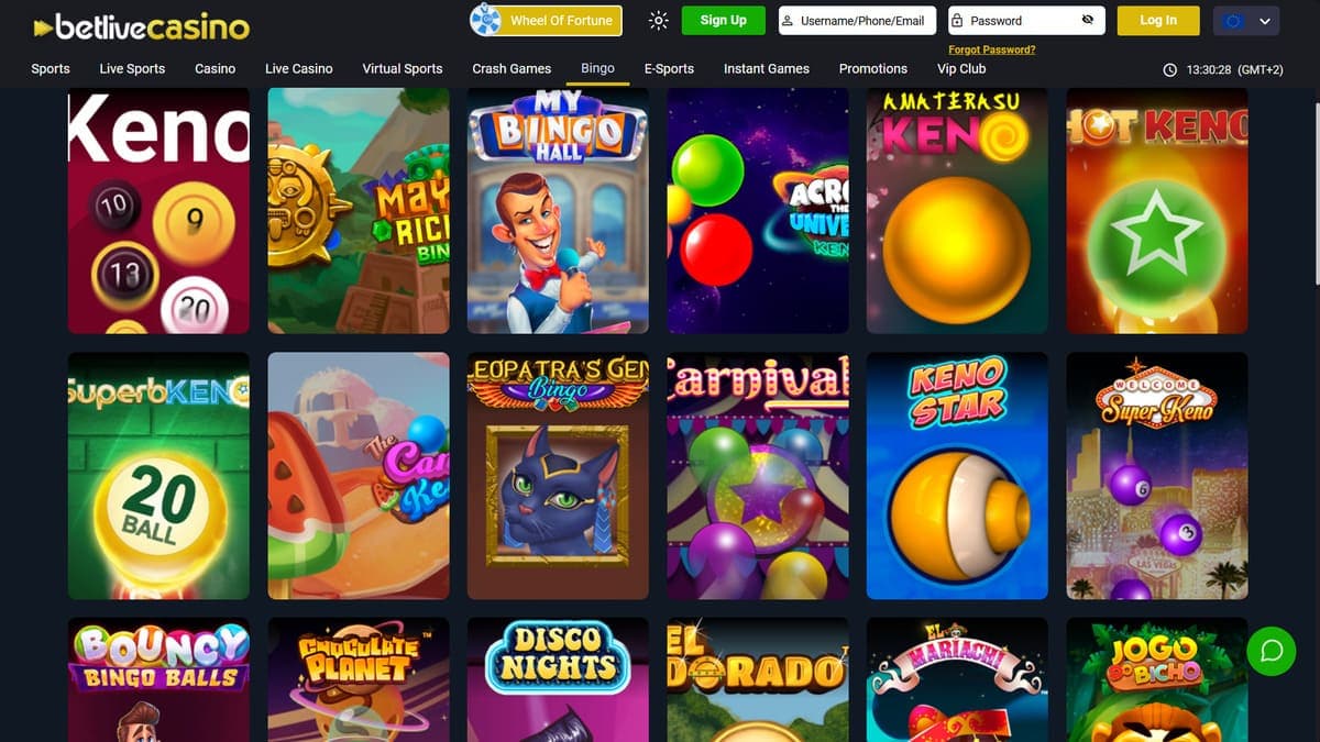 Bingo games BetLive Casino