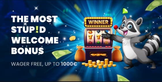 Welcome bonus Stupid Casino