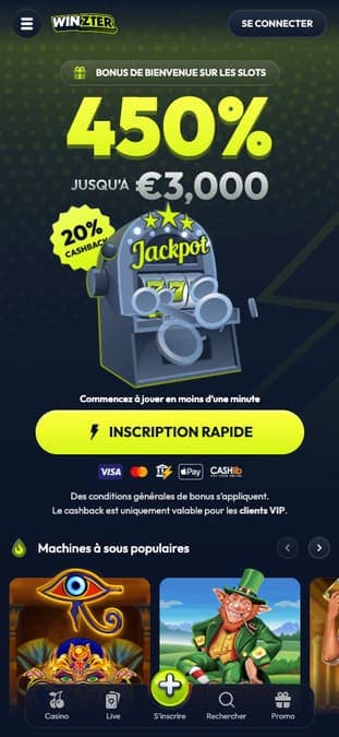 Winzter Casino Application