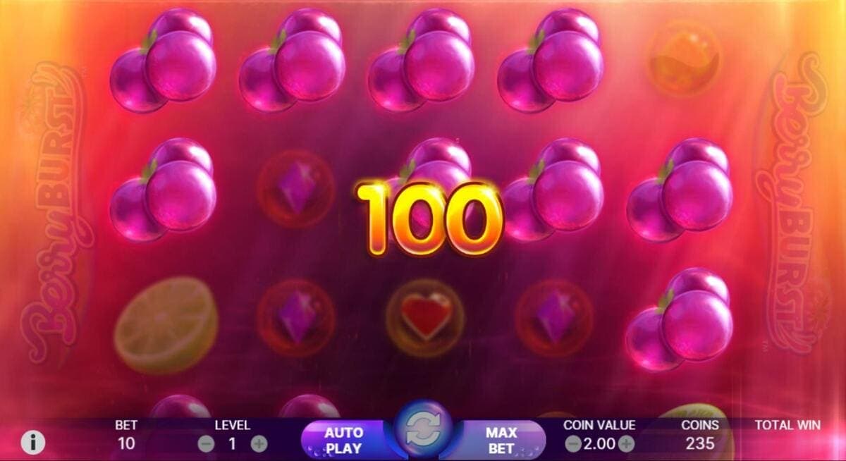 Advantages and disadvantages Berryburst Game