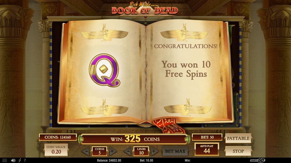free spins Book of Dead