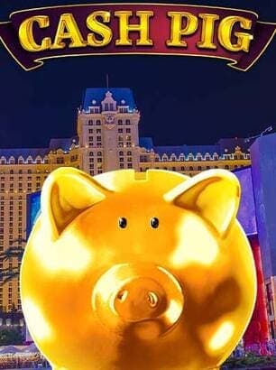 Cash Pig