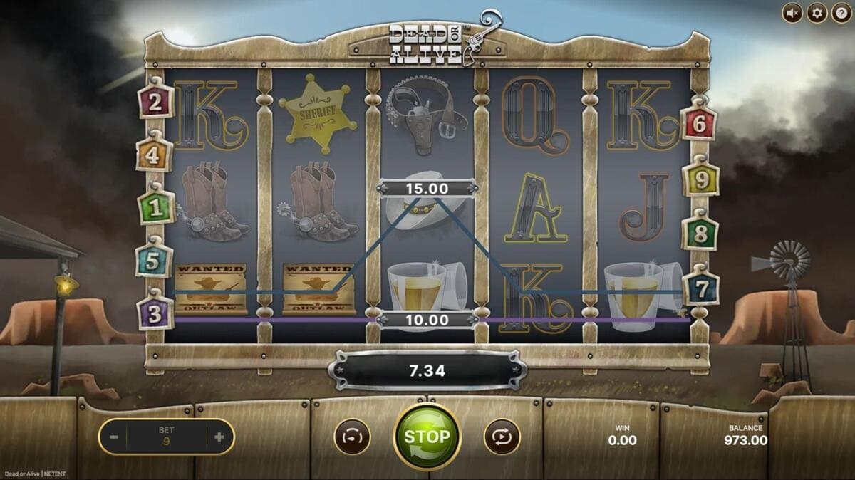 Scatter symbols Dead or Alive Game