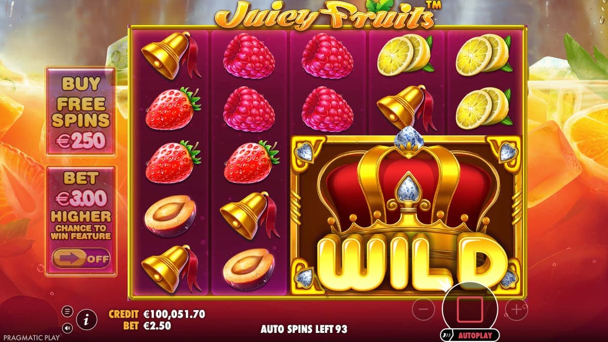Wild Juicy Fruit Game