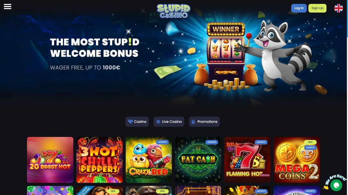 Stupid casino Stupid casino