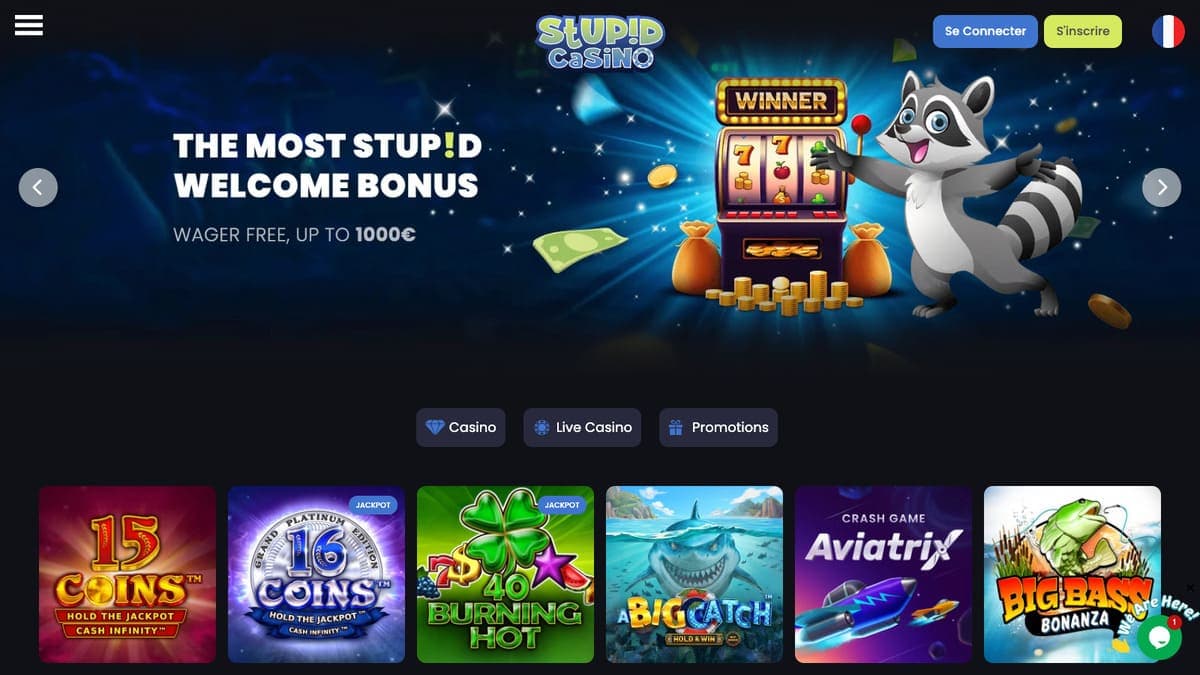 Stupid Casino Stupid Casino